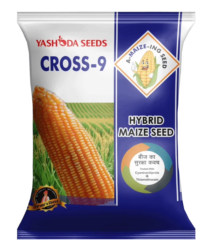maize